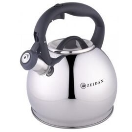  Чайник ZEIDAN Z-4429 3л 