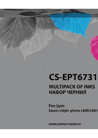 Чернила Cactus CS-EPT6731-6 T673 многоцветный набор 6x100мл для Epson L800/L810/L850/L1800