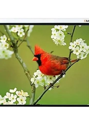 Экран Lumien 171x128см Master Picture LMP-100108 4:3 настенно-потолочный рулонный белый
