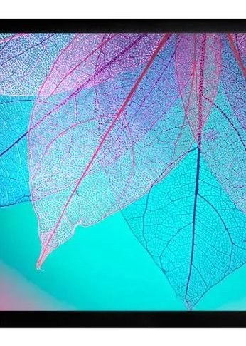 Экран на раме Cactus 124x220см FrameExpert CS-PSFRE-220X124 16:9 настенный натяжной