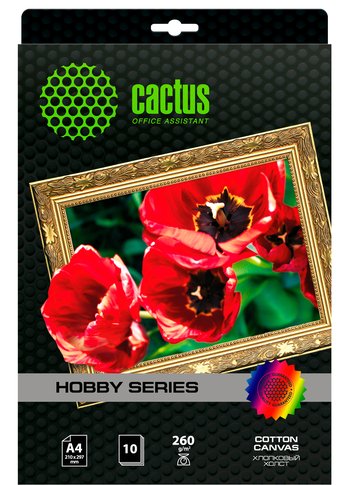 Холст Cactus CS-CA426010 A4/260г/м2/10л. для струйной печати