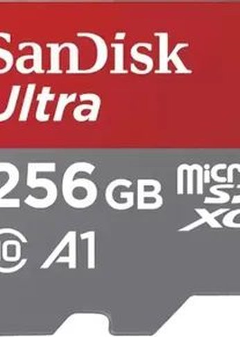 Карта памяти microSDHC 256GB Sandisk UHS-I SDSQUAC-256G-GN6MN