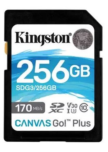 Карта памяти SDXC 256Gb Class10 Kingston SDG3/256GB Canvas Go! Plus w/o adapter