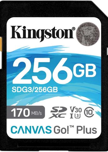 Карта памяти SDXC 256Gb Class10 Kingston SDG3/256GB Canvas Go! Plus w/o adapter