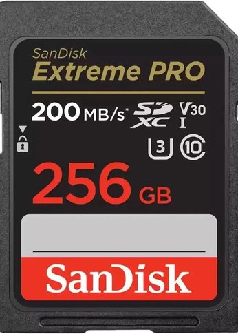 Карта памяти SDXC 256GB Sandisk UHS-1 SDSDXXD-256G-GN4IN