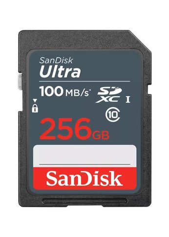 Карта памяти SDXC 256Gb Sandisk UHS-I SDSDUNR-256G-GN3IN