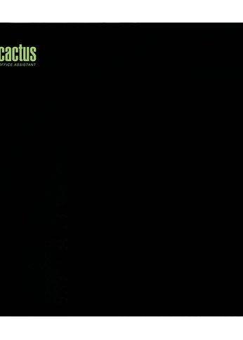 Коврик для мыши Cactus Black 300x250x2мм (CS-MPC-P01M)