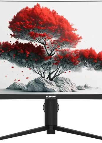 Монитор 27" RDW Computers RDW2706C (Q03В375V2A1) черный VA 5ms 16:9 HDMI M/M матовая HAS Piv 4000:1 300cd 178гр/178гр 2560x1440 75Hz DP 2K USB (RUS)