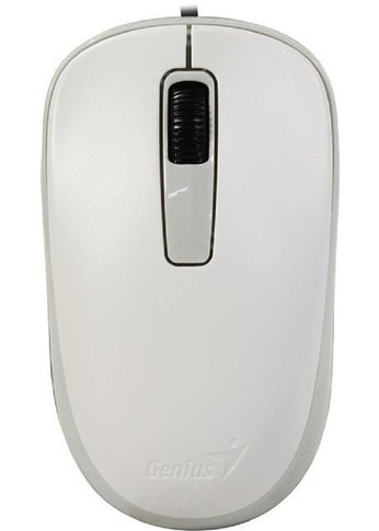 Мышь Genius DX-125, USB, белая (white, optical 1000dpi, подходит под обе руки)