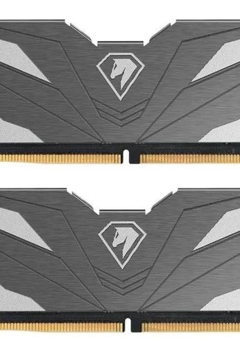 Память DDR4 2x8Gb 2666Mhz Netac NTSWD4P32DP-16K