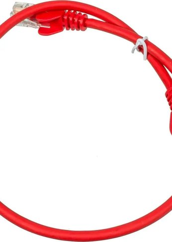 Патч-корд Lanmaster LAN-PC45/U5E-0.5-RD UTP RJ-45 вил.-вилка RJ-45 кат.5E 0.5м красный LSZH (уп.:1шт)