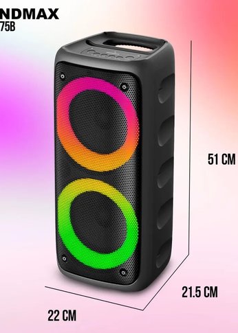 Портативная акустика Soundmax SM-PS5075B 100Вт 2400мАч черный