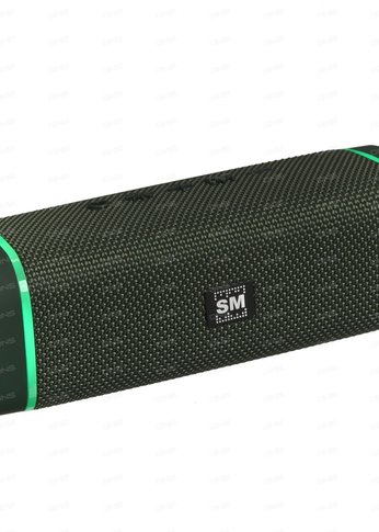 Портативная колонка Soundmax SM-PS5019B(зеленый)