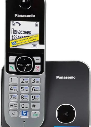 Р/Телефон Dect Panasonic KX-TG6811RUB черный АОН