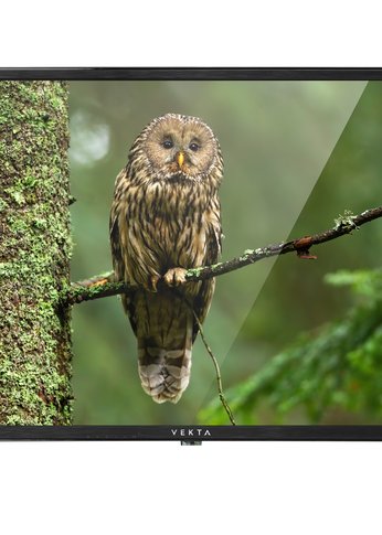 Телевизор LED 32" Vekta LD-32TR4350BT черный HD